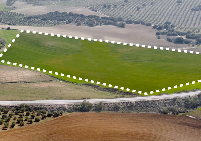 ** aree edificabili **