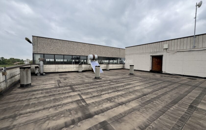 - Capannone in affitto a Fidenza - Honeyre